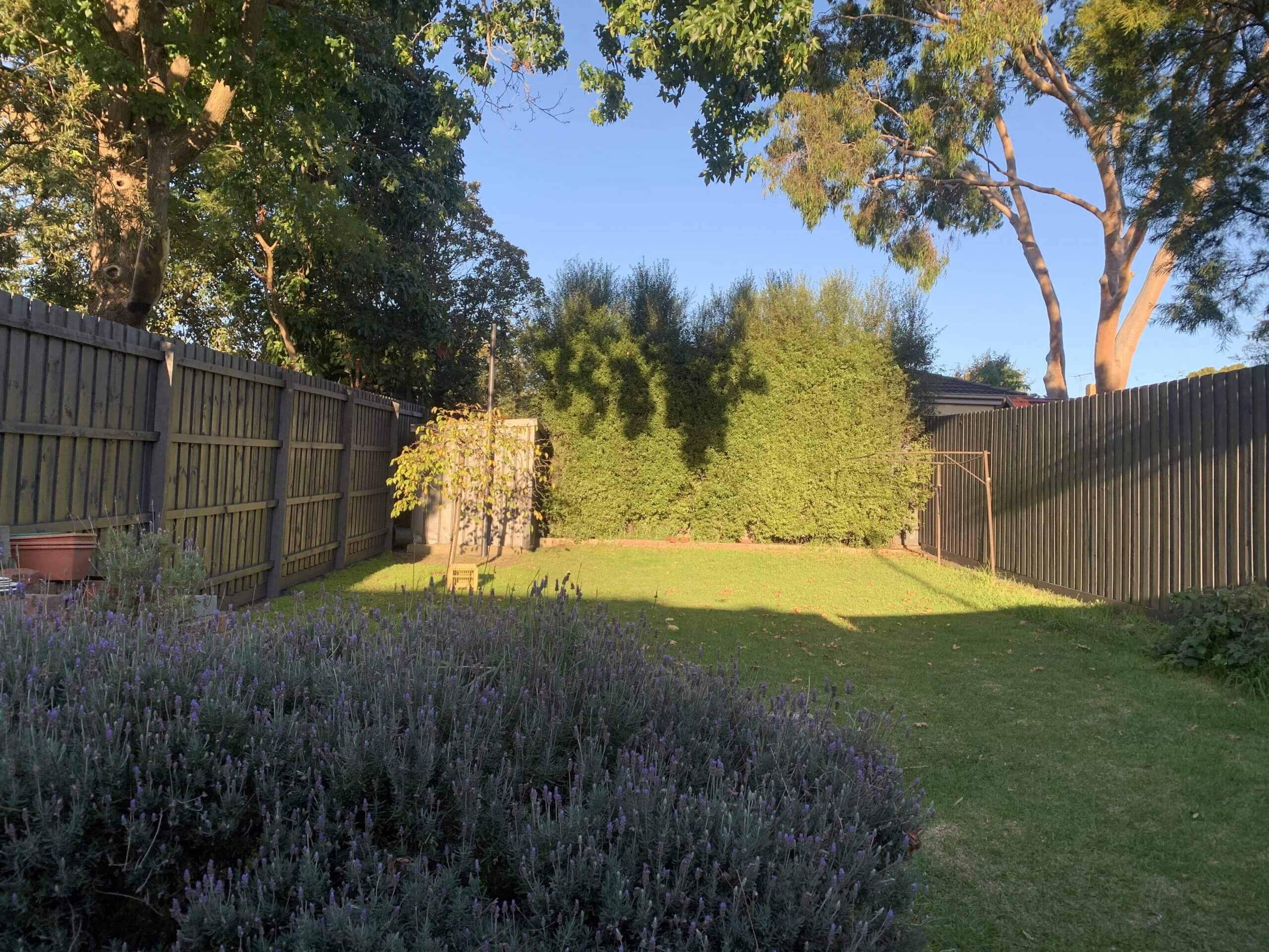 Fence Painting Get A Free Quote Today Apollo Painters